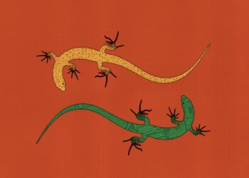 Pse vala e keqinformimit e krijuar nga inteligjenca artificiale mund të sjellë pasoja paradoksale