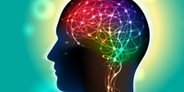 Zbulimet e reja, si vendos truri se cilat kujtime të ruajë?