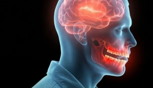 Higjiena e dobët dentare mund të dëmtojë qendrën e kujtesës së trurit