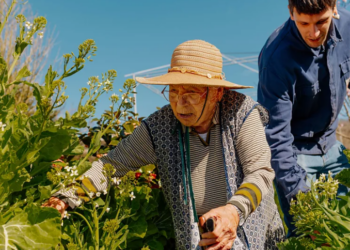 Aktivitetet që iu ndihmojnë të jetoni më gjatë