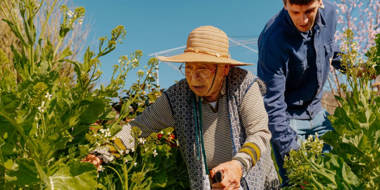 Aktivitetet që iu ndihmojnë të jetoni më gjatë