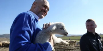 Skema e re e TVSH-së, fati i fermerëve në dorë të grumbulluesve