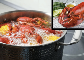 Anglia ndalon zierjen e karavidheve të gjalla