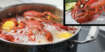 Anglia ndalon zierjen e karavidheve të gjalla