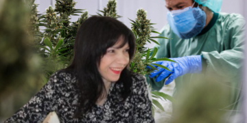 Linda Pustina shkarkohet nga drejtimi i Agjencisë Kombëtare për Kontrollin e Kanabisit, kush e zëvendësoi