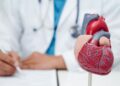 Sa “vjeç” është zemra juaj? Si matet mosha biologjike e saj dhe si vlerësohet rreziku kardiak