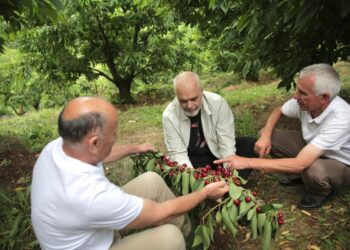 Komisioni Europian reagon ndaj deklaratës së Kryeministrit Rama për fondet IPARD: Shqipëria, rast UNIK