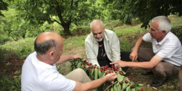 Komisioni Europian reagon ndaj deklaratës së Kryeministrit Rama për fondet IPARD: Shqipëria, rast UNIK