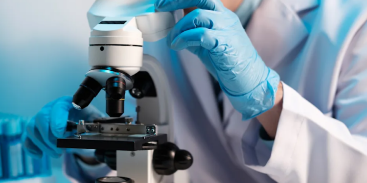 Zbulimi që ndryshon riciklimin, metoda e re për të transformuar mbetjet plastike në materiale të dobishme