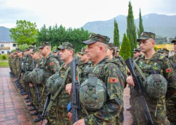 Presidenti Begaj dekreton Gjeneral Major Petrit Çunin në krye të Forcës Tokësore