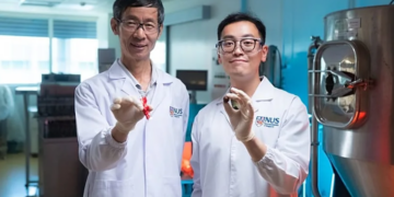 Çokollata mund të zhduket deri në vitin 2050, si mund t’a shpëtojnë shkencëtarët?