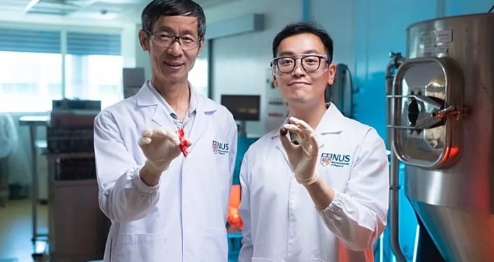 Çokollata mund të zhduket deri në vitin 2050, si mund t’a shpëtojnë shkencëtarët?