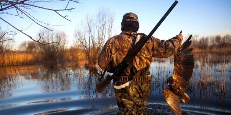 Ligji i ri për gjuetinë: Mes pretendimeve për mbrojtje dhe rrezikut të abuzimeve