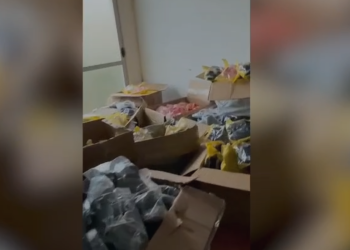 OPERACIONI/ Dy shtetas turqi nga Kamza veshën shqiptarët me “Tommy” dhe “Lacoste” false