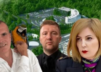 Parajsa Fiskale Durana, ligji dhe VKM-të që ngritën zonën pa taksa për aktorët e dosjes së AKSHI-t