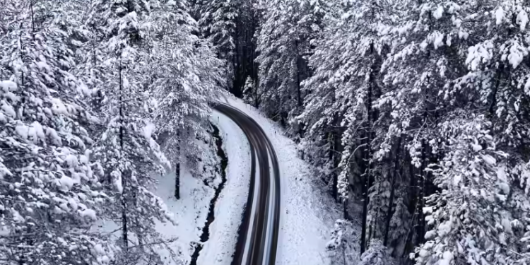 Kolonja “magjike” nën bardhësinë e borës