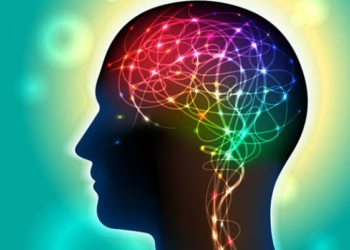 Studimi zbulon pikën kritike të trurit kur dobësohet kujtesa