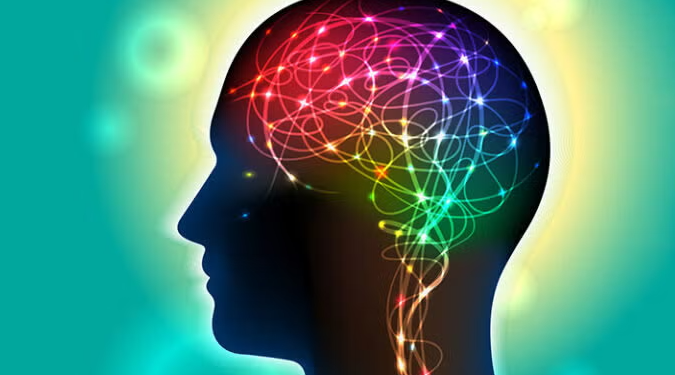 Studimi zbulon pikën kritike të trurit kur dobësohet kujtesa