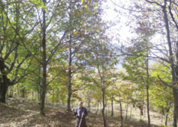 Treguesit gjeografik dhe emërtimet e origjinës, gati projektligji për rregullimin dhe mbrojtjen