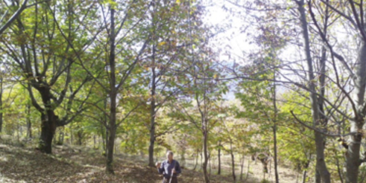 Treguesit gjeografik dhe emërtimet e origjinës, gati projektligji për rregullimin dhe mbrojtjen