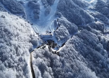 Destinacioni i dimrit, Dardha e mbuluar nga bardhësia