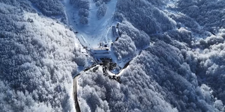 Destinacioni i dimrit, Dardha e mbuluar nga bardhësia