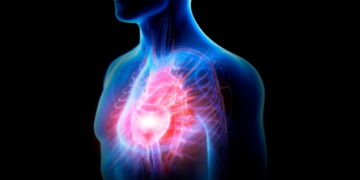 Zemra mund të rigjenerohet pjesërisht pas një infarkti