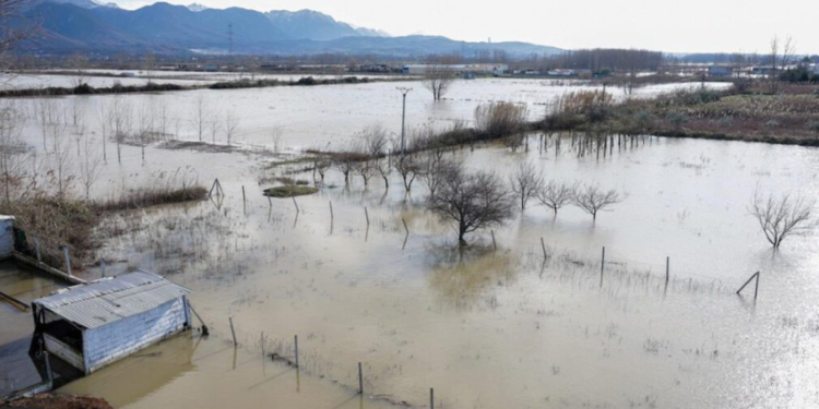 12 mijë hektarë nën ujë, fatura e rëndë e përmbytjeve në vend