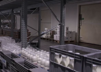 Dizajni nën mbrojtje ligjore, çfárë parashikohet  për logot dhe markat shqiptare