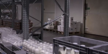 Dizajni nën mbrojtje ligjore, çfárë parashikohet për logot dhe markat shqiptare