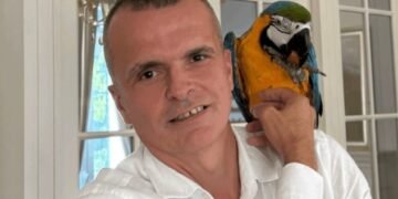 Grupi kriminal i AKSHI-t licencë për para elektronike, leja në dorë të Ermal Beqirit