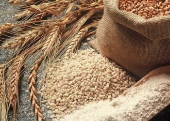 Prodhimi vendas i drithit në kolaps: Shqiptarët hanë “bukë” ruse dhe serbe,  pastaj thonë “O sa mirë me qenë shqiptar” në stadiume