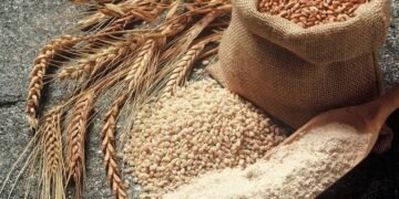 Prodhimi vendas i drithit në kolaps: Shqiptarët hanë “bukë” ruse dhe serbe,  pastaj thonë “O sa mirë me qenë shqiptar” në stadiume