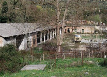 Kadastra njofton procedurat e reja për privatizimin e truallit shtetëror, si bëhet aplikimi