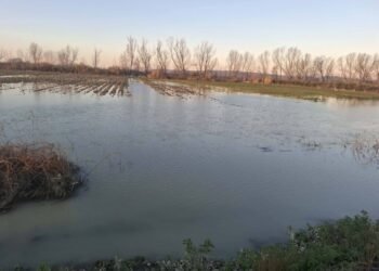 Shkarkimet nga digat dhe kanalet e bllokuara, rritet sipërfaqja e serrave të përmbytura, kostot