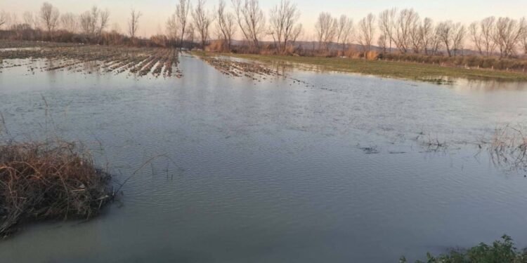 Shkarkimet nga digat dhe kanalet e bllokuara, rritet sipërfaqja e serrave të përmbytura, kostot