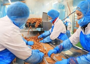 Gjermania në krizë ekonomike, mbyllen edhe fabrikat e sallamit