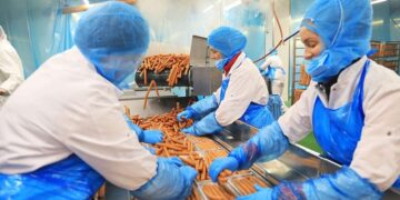 Gjermania në krizë ekonomike, mbyllen edhe fabrikat e sallamit