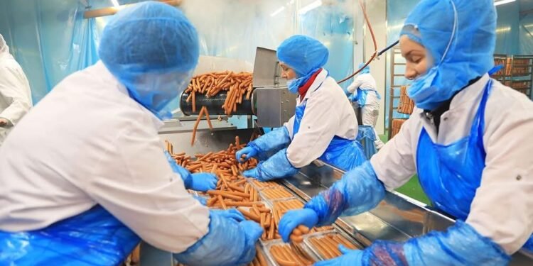 Gjermania në krizë ekonomike, mbyllen edhe fabrikat e sallamit