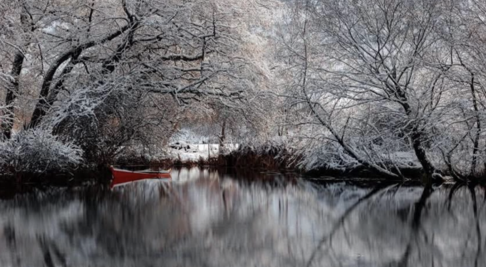 Dimri në Drilon, parku mbulohet nga bora