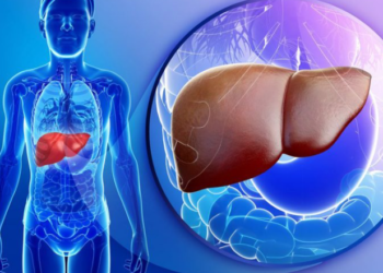 Sëmundja e heshtur e mëlçisë që po prek miliona njerëz