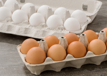 Vezët kafe apo të bardha, cilat janë më të shëndetshme? Ekspertët sqarojnë mitin