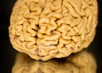 Pse disa njerëz mbeten mendërisht të mprehtë edhe të moshuar