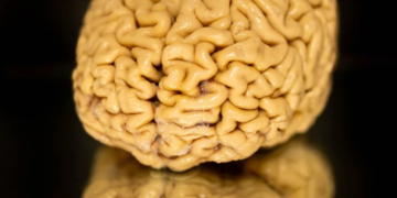 Pse disa njerëz mbeten mendërisht të mprehtë edhe të moshuar