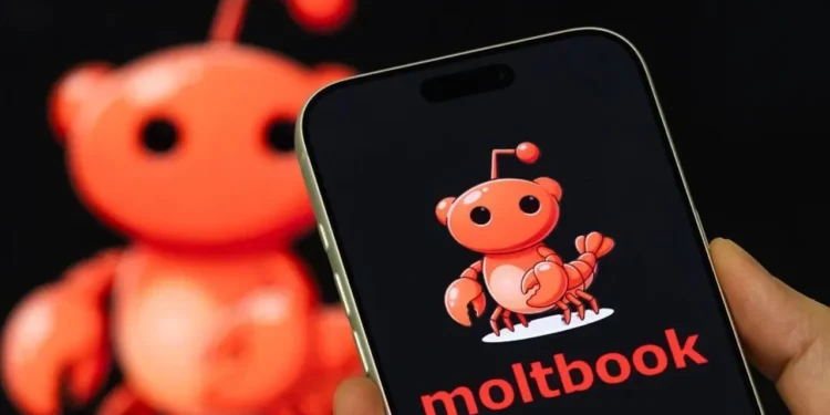 PARALAJMËRIMI/ Inteligjenca Artificiale po merr kontrollin e gjuhës, gati feja e re