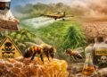 Bletët në rrezik: Si po i helmojmë insektet, nga pesticidet, tokat toksike e deri te hashashi