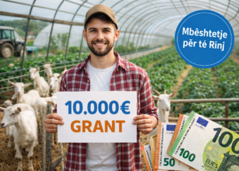 Skema e re e bujqësisë: Deri në 10 mijë euro grant për të rinjtë në blegtori