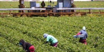 Fshihen gjobat dhe kamatëvonesat për kontributet, ISSH ka një njoftim të rendësishëm për fermerët