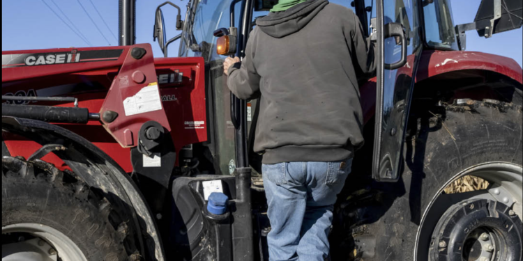 Prodhimi bujqësor në rrezik, fermerët po plaken dhe fëmijët e tyre s’kanë ndërmend t’i zëvendësojnë