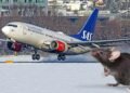 Një mi në bord bëhet shkak për devijimin e destinacionit të avionit të SAS